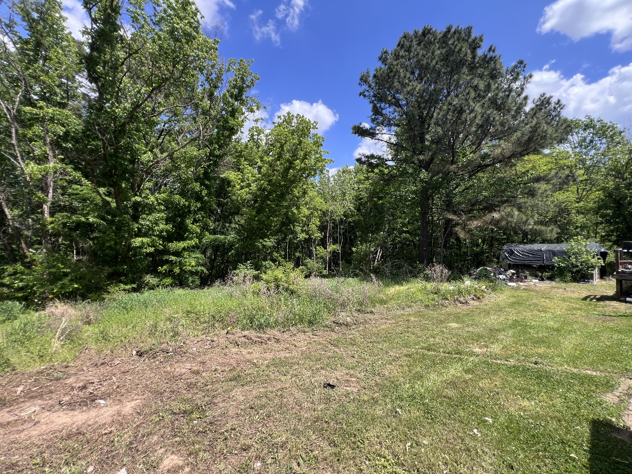 616 Powell Street Paris, TN 38242 - Photo 26 of 26 a view of a yard with a tree