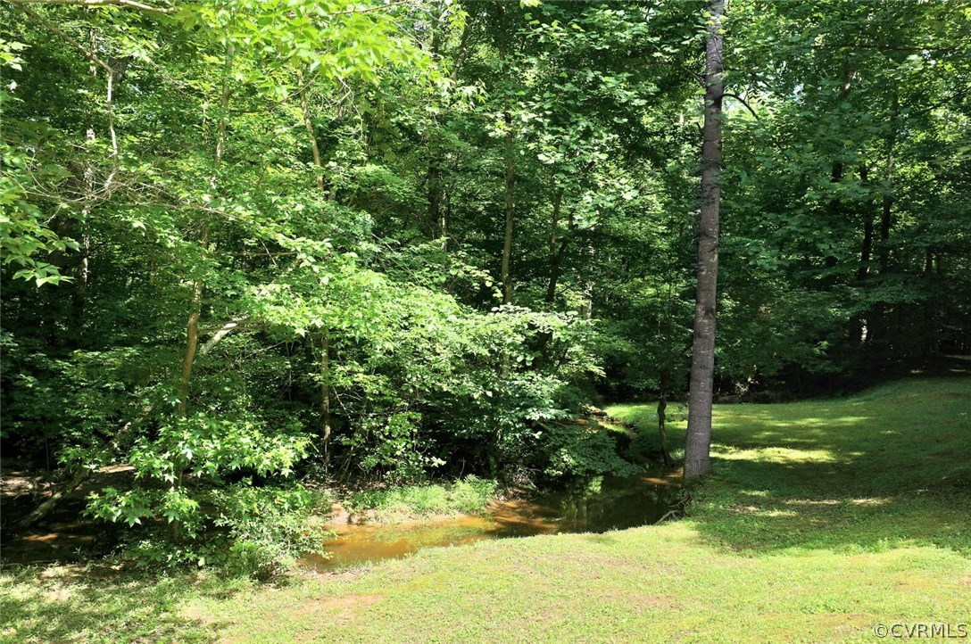 424 Michaux Ridge Court Midlothian, VA 23113 - Photo 31 of 31 Gallery Image 31