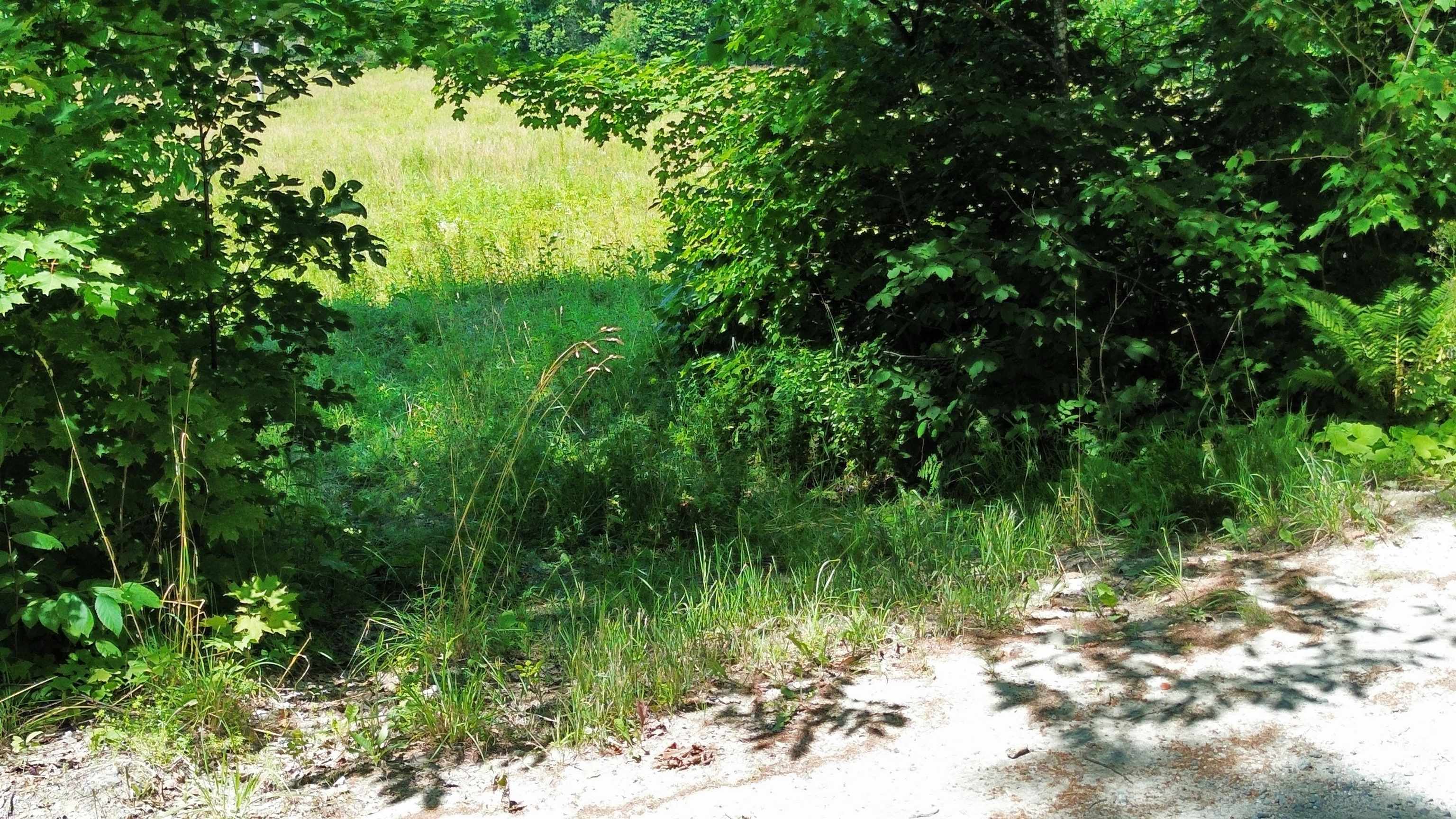 B Fuller Road Newbury, VT 05051 - Photo 24 of 32