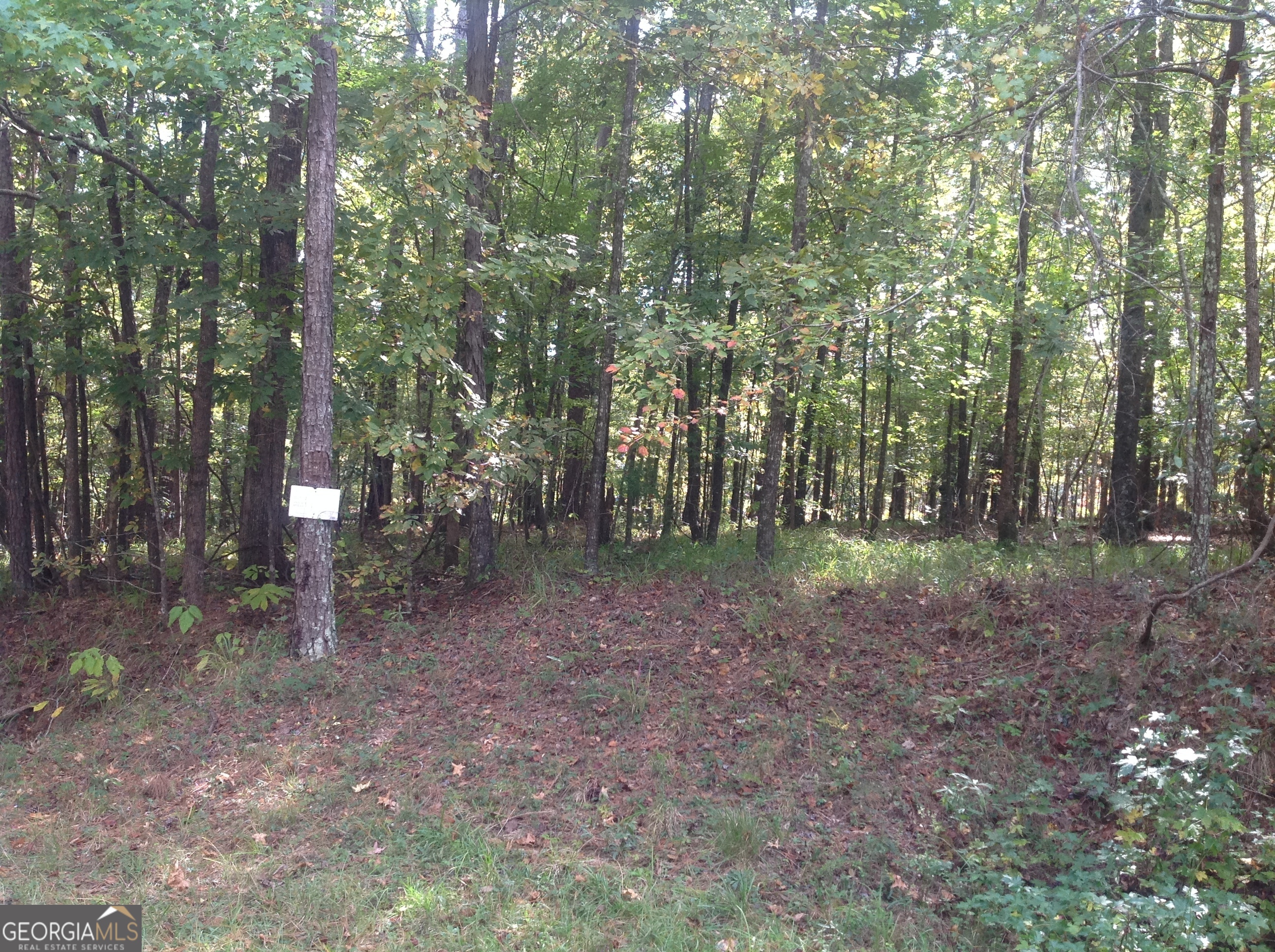 0 Pineview Road Gray, GA 31032 - Photo 1 of 1