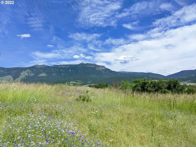 a view of lake from a city