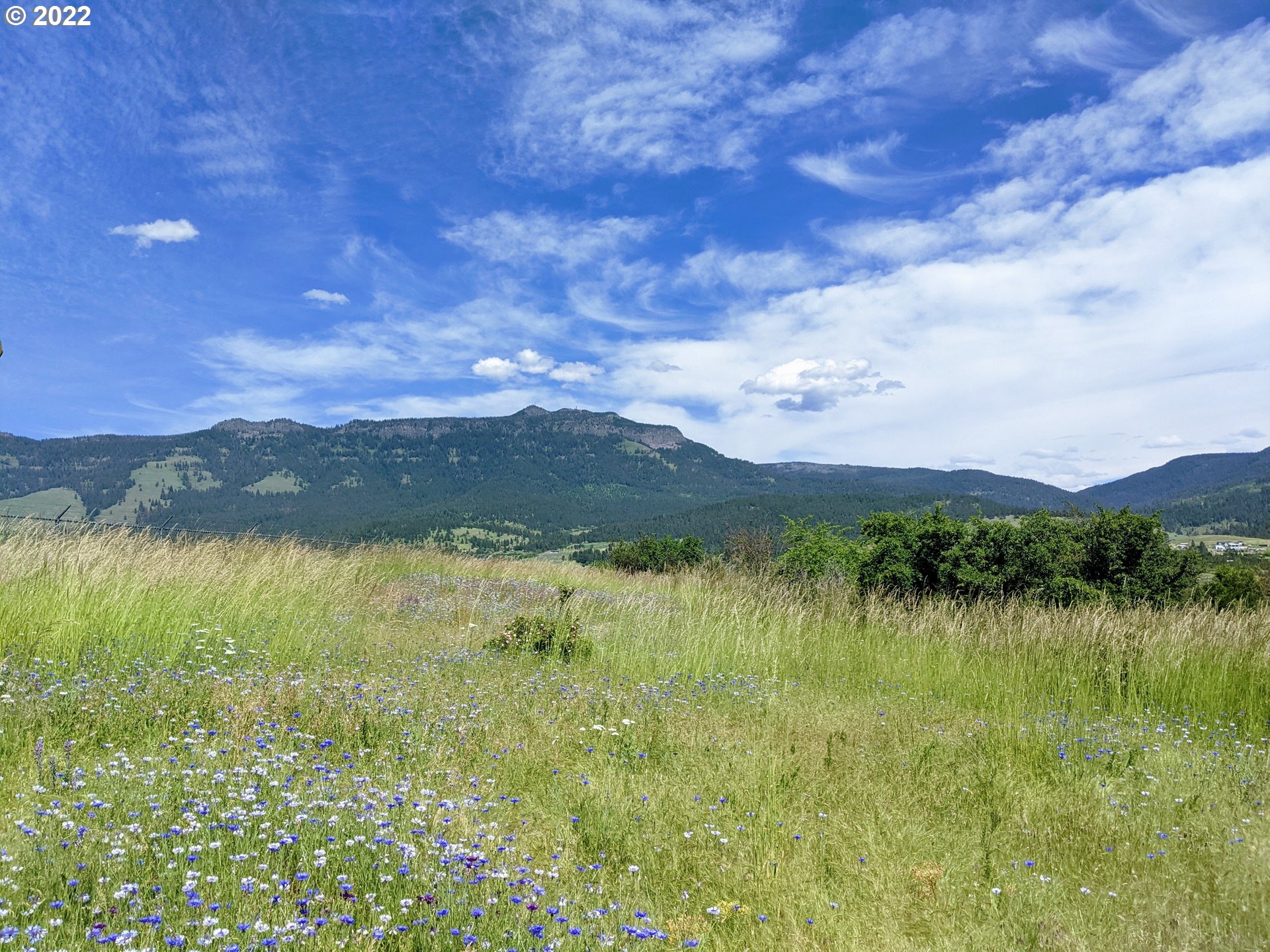 a view of lake from a city