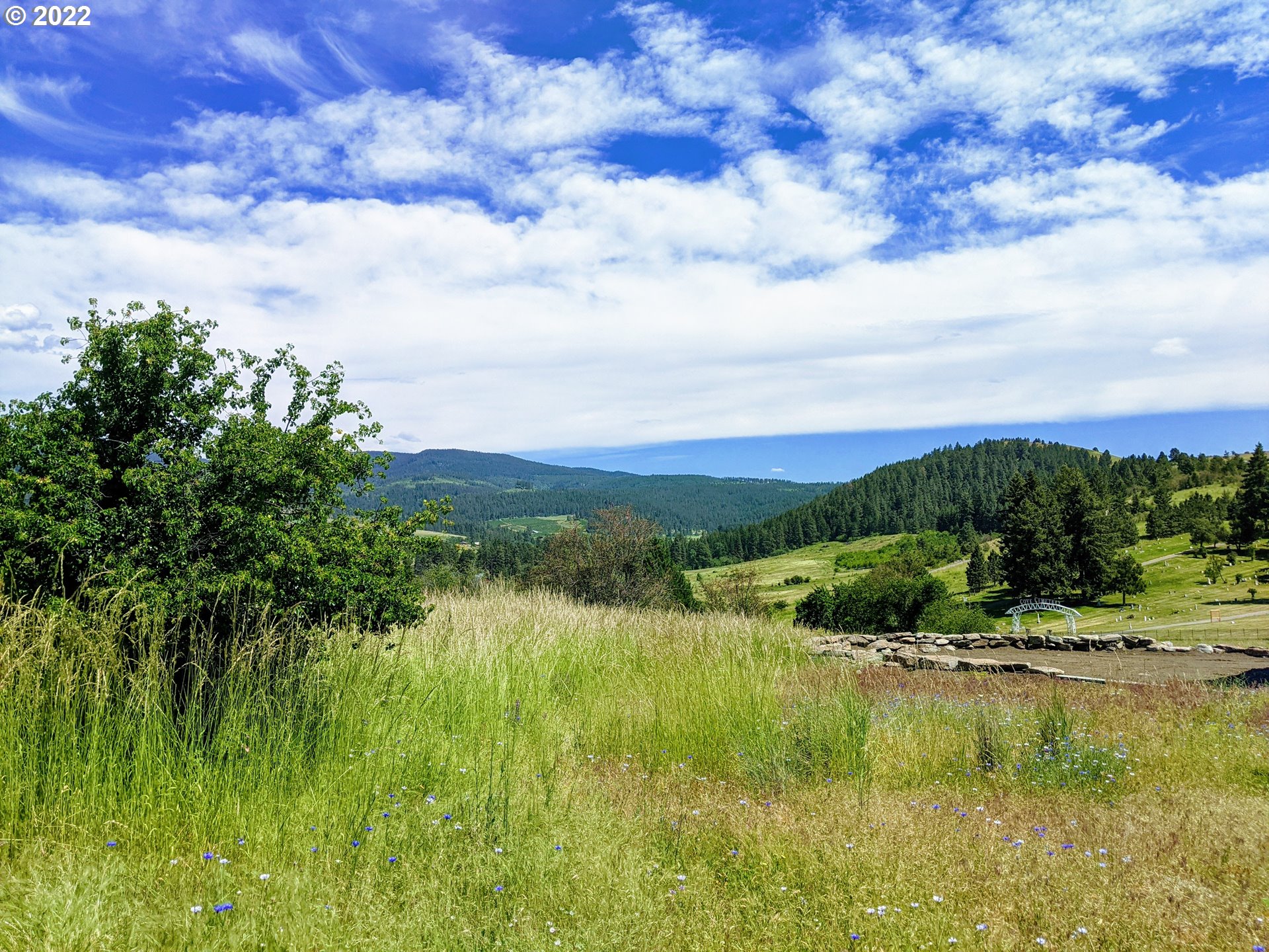 0 Rose Ridge Rd Cove Cove, OR 97824 - Photo 2 of 4 a view of lake with green space