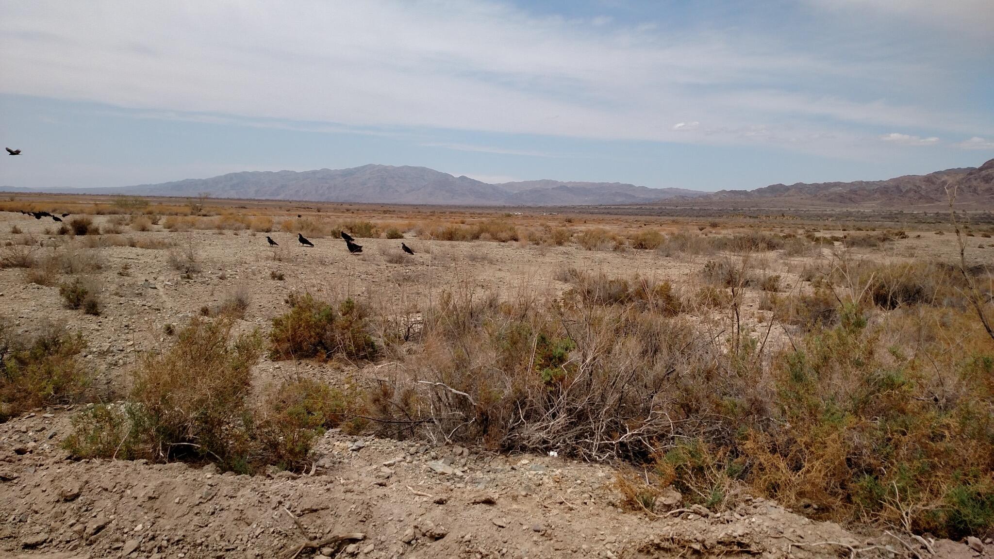40 Ac M/l Domeno Road Niland, CA 92257 - Photo 2 of 8 a view of lake and mountain