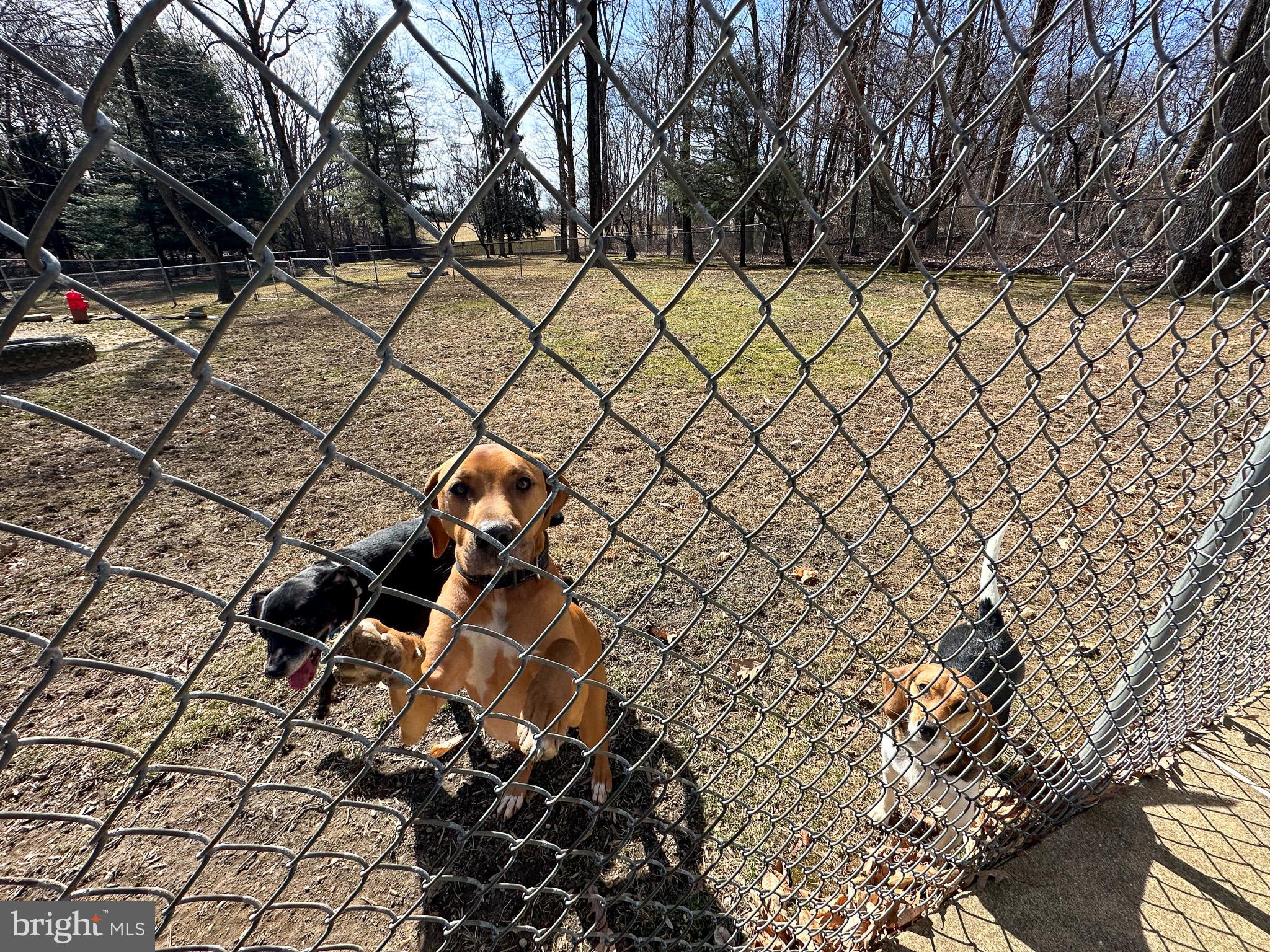 301 Corner Ketch Road Downingtown, PA 19335 - Photo 54 of 62