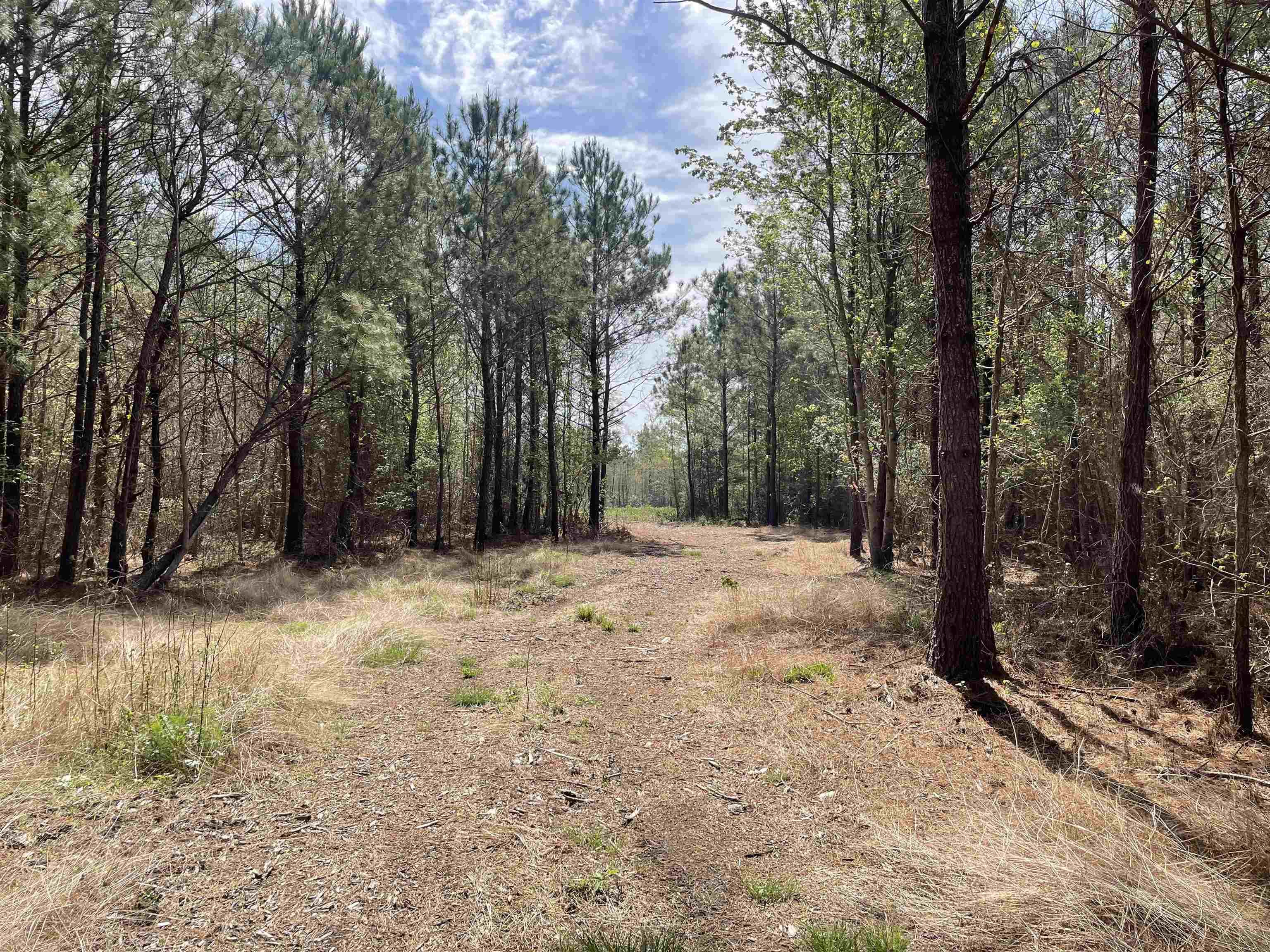 Tbt Tbt Frank Cribb Road Hemingway, SC 29554 - Photo 1 of 12 Gallery Image 1