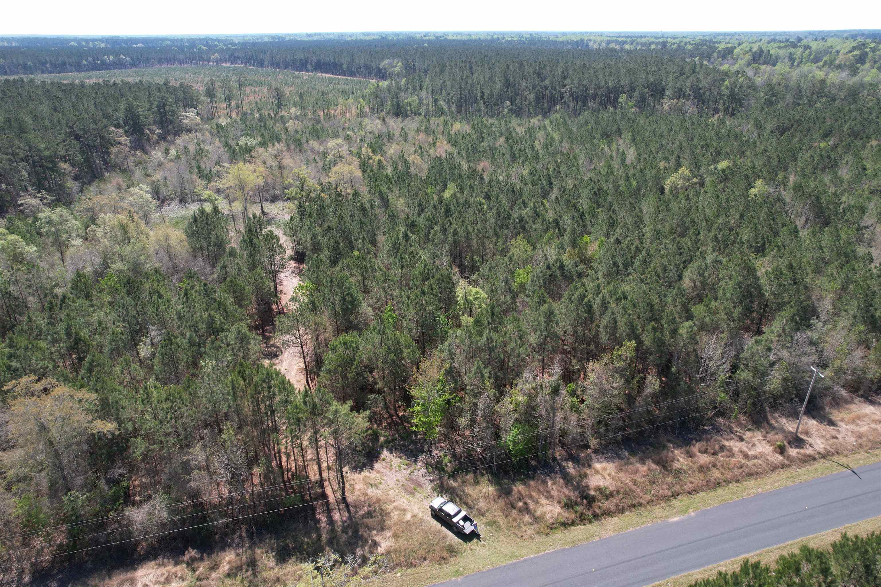 Tbt Tbt Frank Cribb Road Hemingway, SC 29554 - Photo 3 of 12 Gallery Image 3