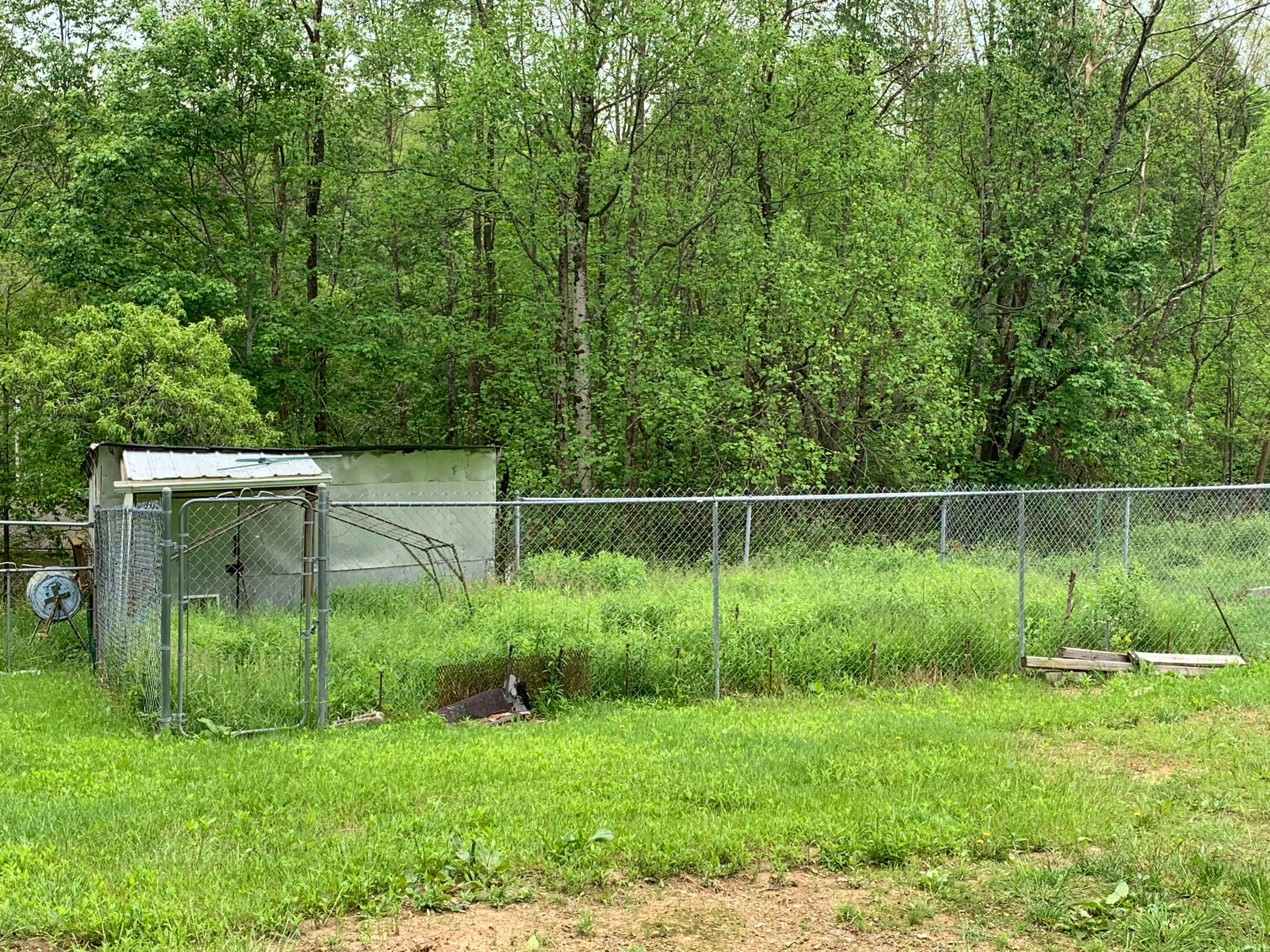 844 Curtain Road Craigsville, WV 26205 - Photo 20 of 24 Gallery Image 20