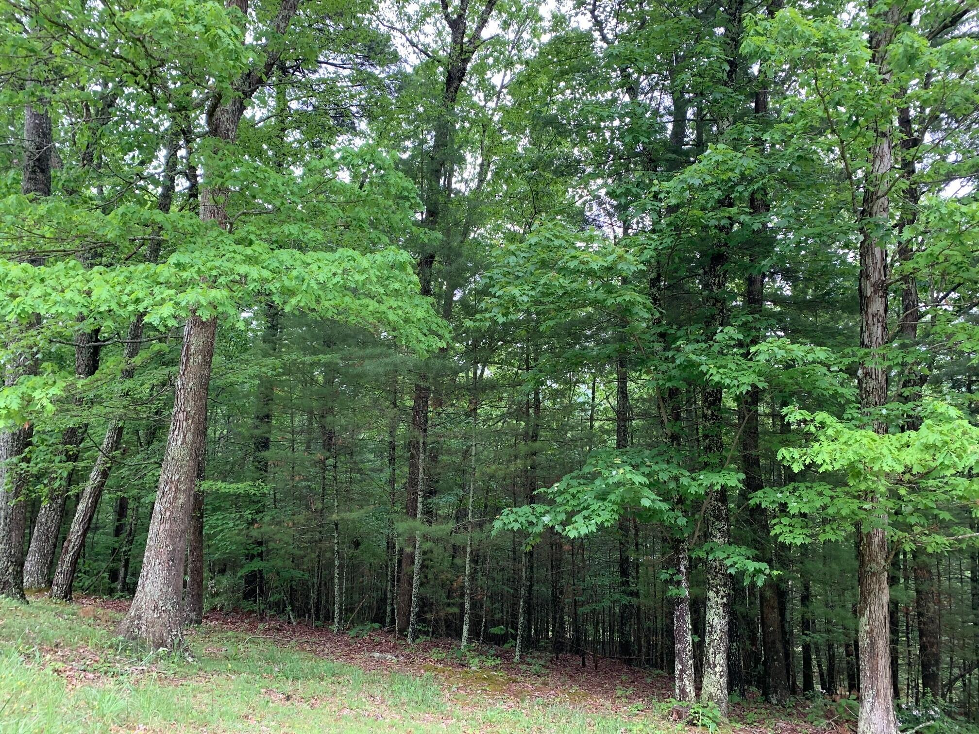 138 Deer Run Road Gap Mills, WV 24941 - Photo 25 of 32 Gallery Image 25