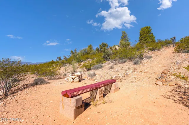 a view of a yard with a snow in the background