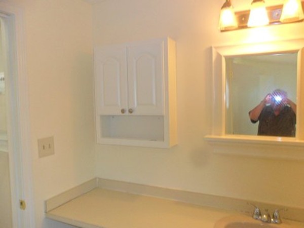 161 Leland Farm Road, Unit 161 Ashland, MA 01721 - Photo 9 of 15 Gallery Image 9