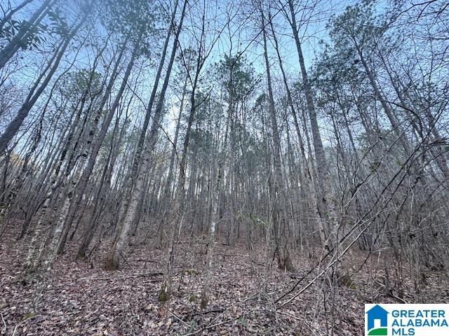 170 Valley Grove Road, Unit 45 AC Cragford, AL 36255 - Photo 4 of 19