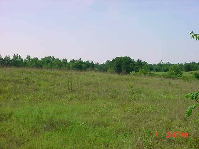 Lot 4 B Rogers Bridge Road Duncan, SC 29334 - Photo 1 of 5 Gallery Image 1