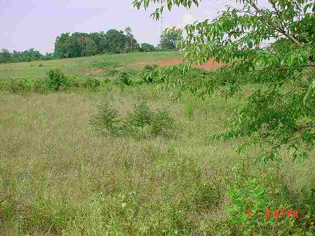 Lot 4 B Rogers Bridge Road Duncan, SC 29334 - Photo 2 of 5 Gallery Image 2