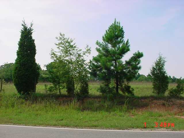 Lot 4 B Rogers Bridge Road Duncan, SC 29334 - Photo 4 of 5 Gallery Image 4