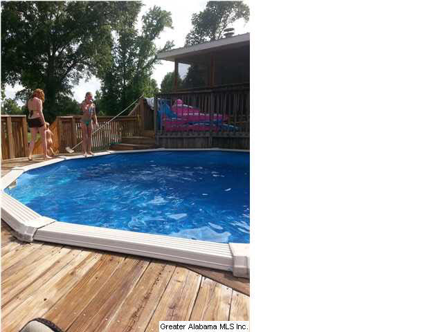 14329 Rockhouse Road Brookwood, AL 35444 - Photo 17 of 21