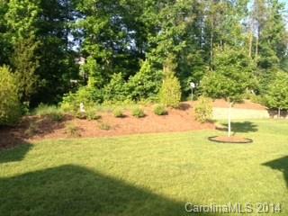 1046 Gardenia Street Fort Mill, SC 29708 - Photo 16 of 16 Gallery Image 16