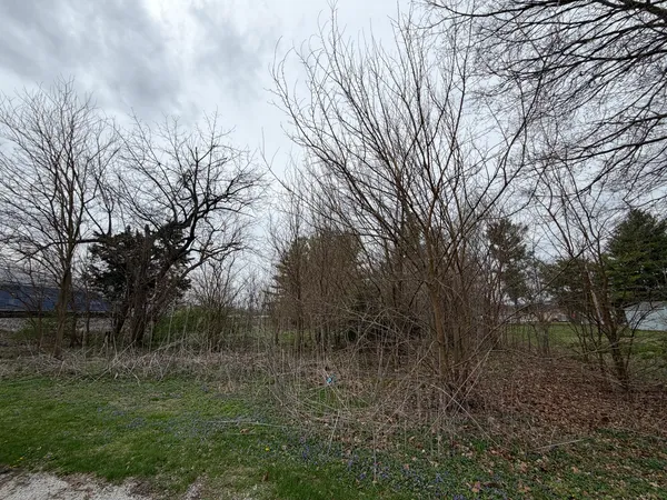 $15,000 | 112 South Church Street, Homer, IL 61849