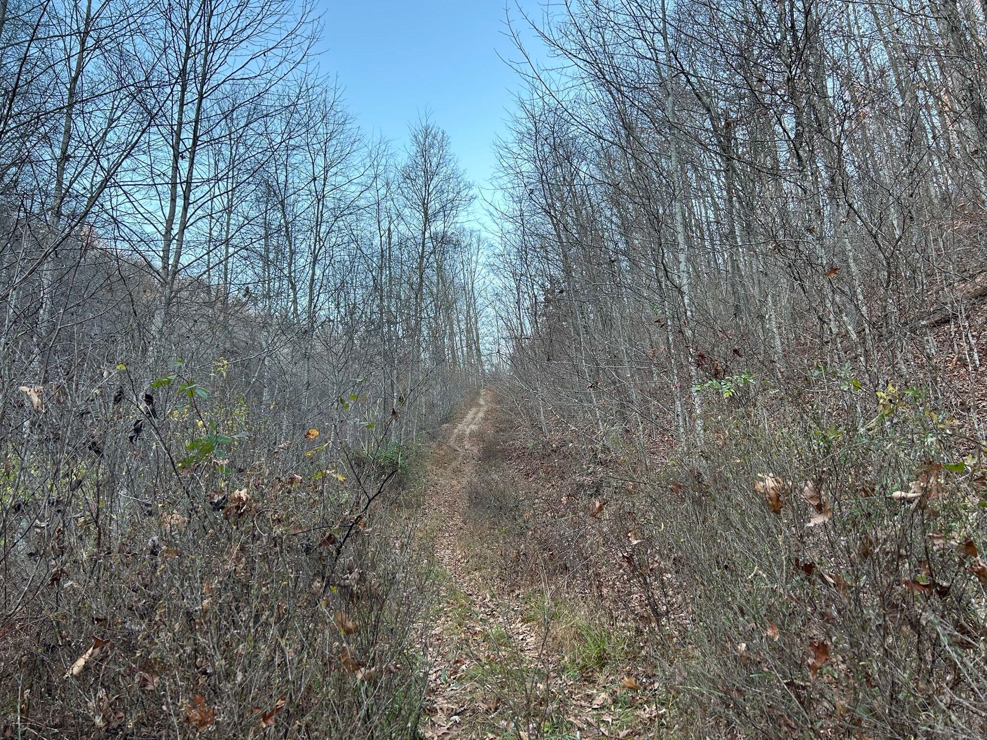 Dale Hollow Road Renick, WV 24966 - Photo 8 of 17 Gallery Image 8