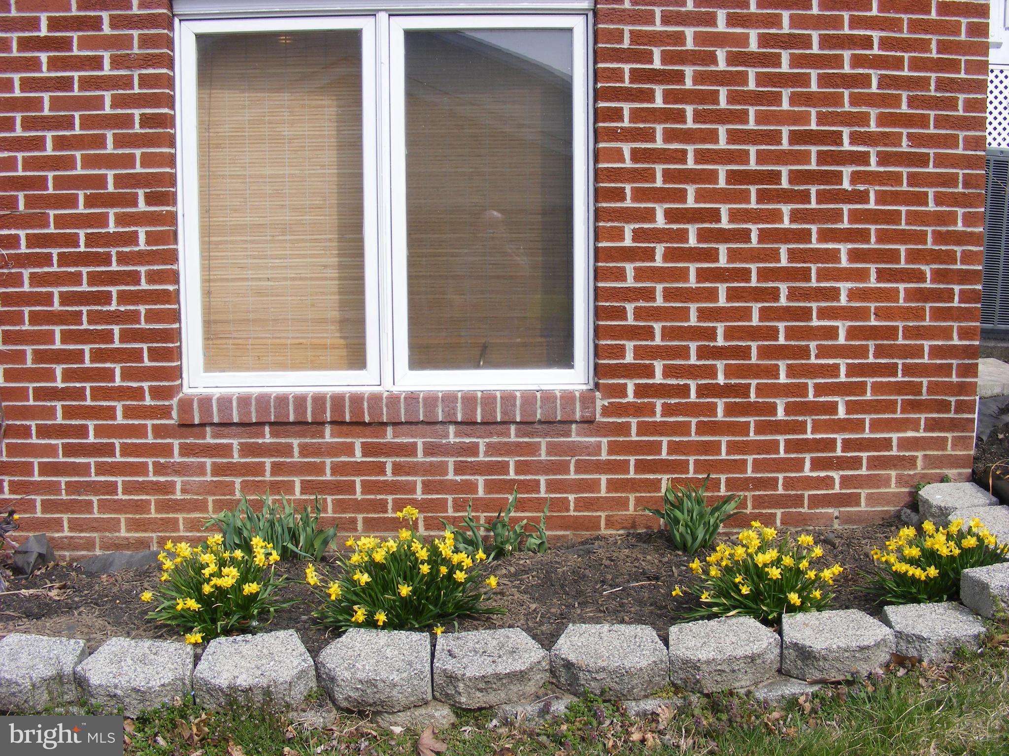 1178 Kesler Road Front Royal, VA 22630 - Photo 40 of 49 Side flower beds
