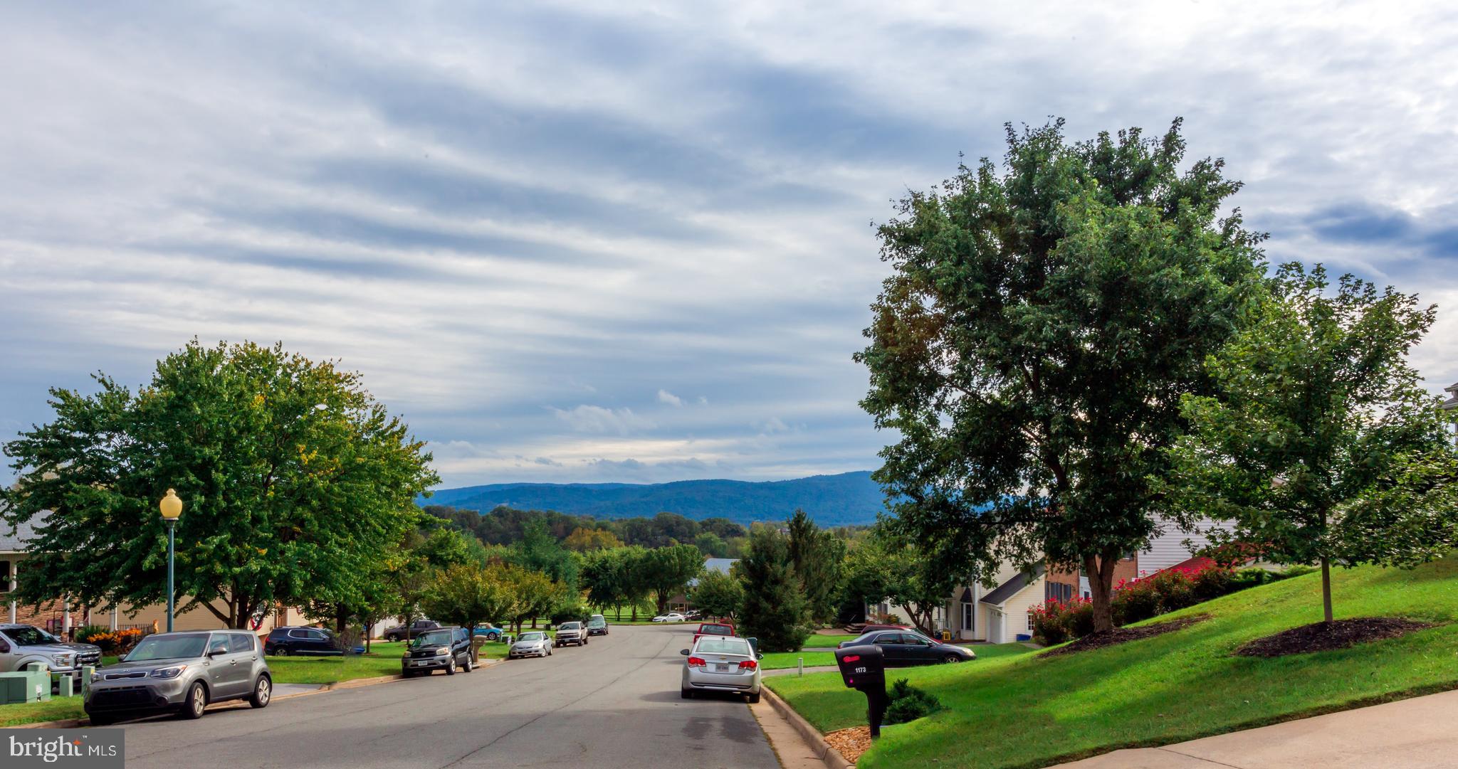Road View