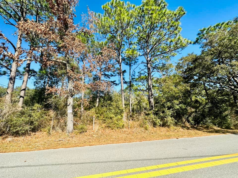 282 Otter Lake Road Panacea, FL 32346 - Photo 7 of 7 Gallery Image 7