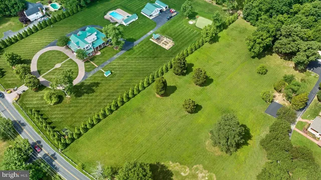 a view of a bunch of flowers in a garden