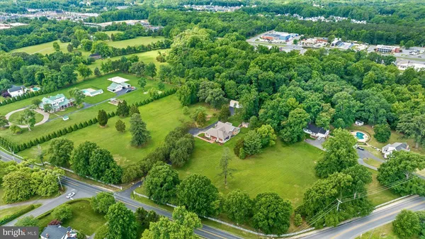 a view of a garden with a plants and tree