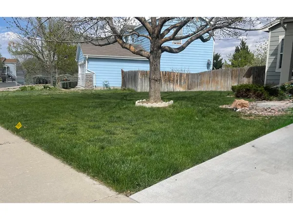 a view of a house with backyard and a tree