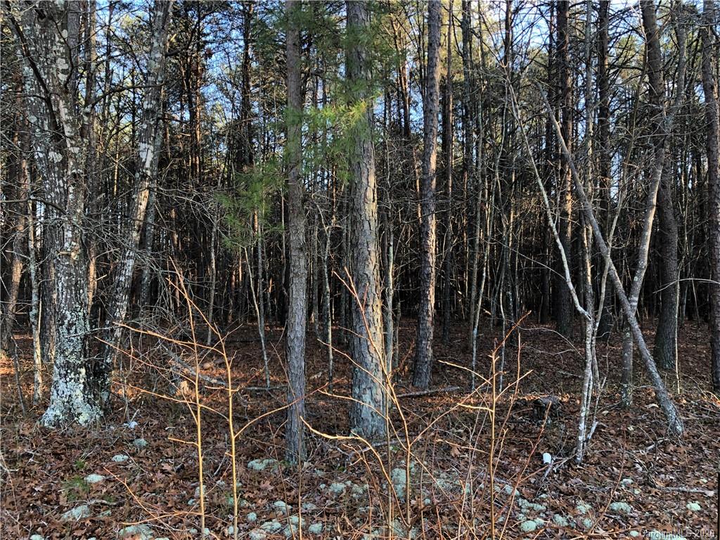 0 Morgan Road, Unit TRACT 9 Gold Hill, NC 28071 - Photo 1 of 4 Gallery Image 1