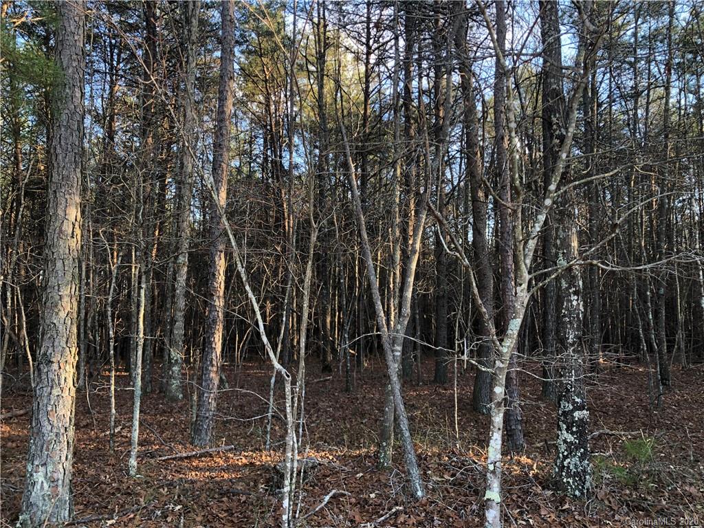 0 Morgan Road, Unit TRACT 9 Gold Hill, NC 28071 - Photo 3 of 4 Gallery Image 3