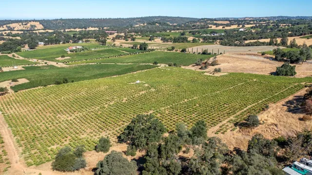 $1,899,995 | 19940 Shenandoah School Road, Plymouth, CA 95669