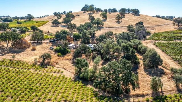 $1,899,995 | 19940 Shenandoah School Road, Plymouth, CA 95669