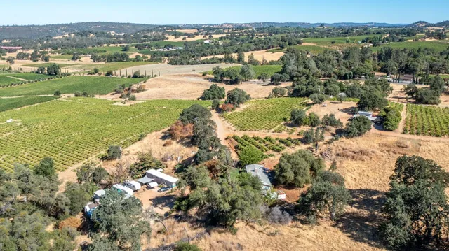 $1,899,995 | 19940 Shenandoah School Road, Plymouth, CA 95669