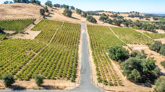 $1,899,995 | 19940 Shenandoah School Road, Plymouth, CA 95669