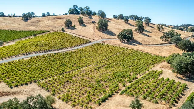 $1,899,995 | 19940 Shenandoah School Road, Plymouth, CA 95669