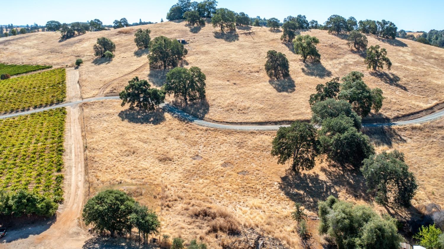 19940 Shenandoah School Road Plymouth, CA 95669 - Photo 28 of 62