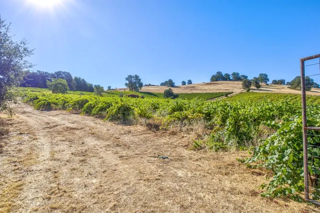 $1,899,995 | 19940 Shenandoah School Road, Plymouth, CA 95669