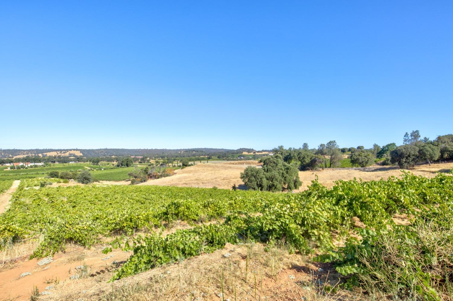 19940 Shenandoah School Road Plymouth, CA 95669 - Photo 56 of 62