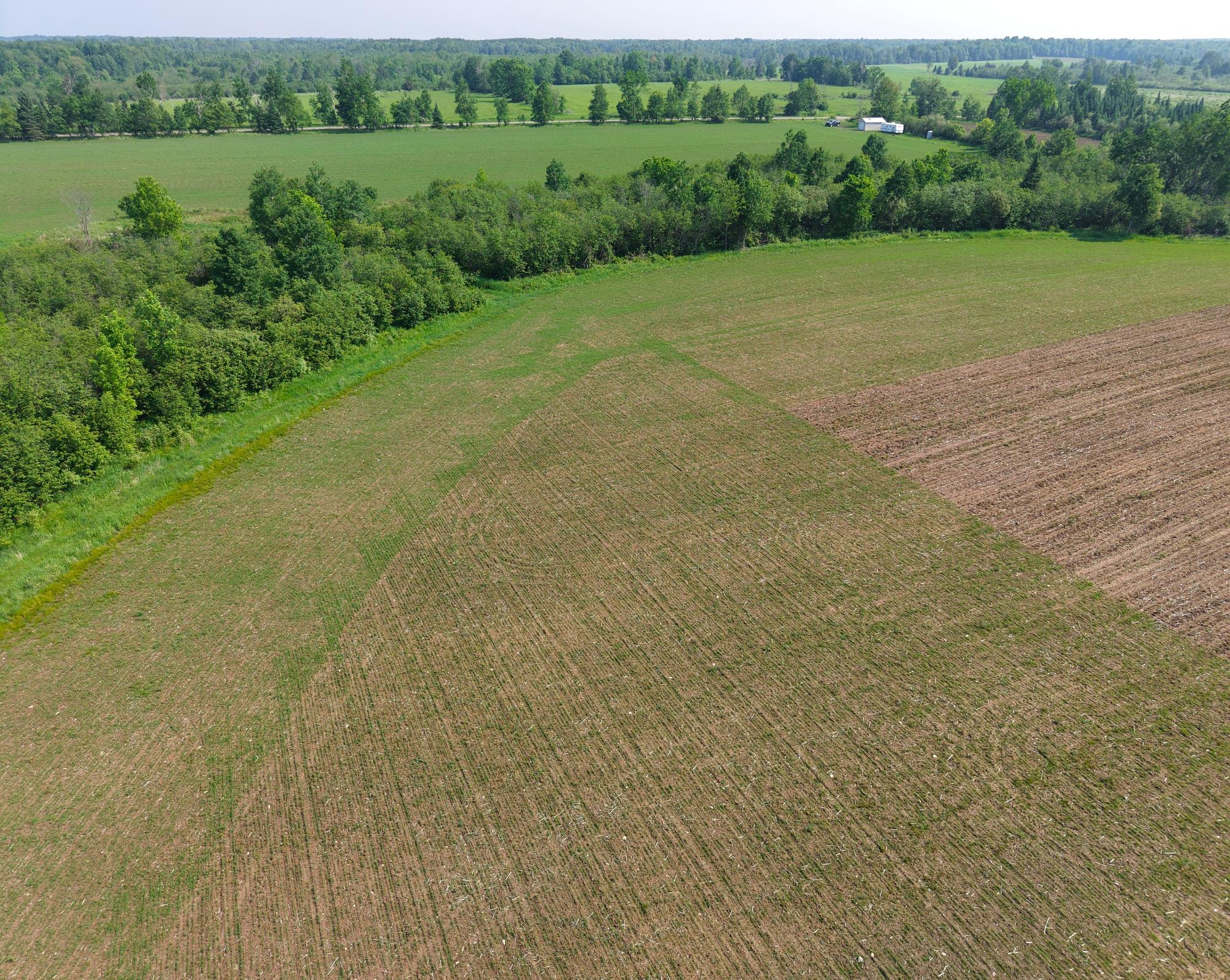 W181 Midway Road Hawkins, WI 54530 - Photo 9 of 56 Gallery Image 9
