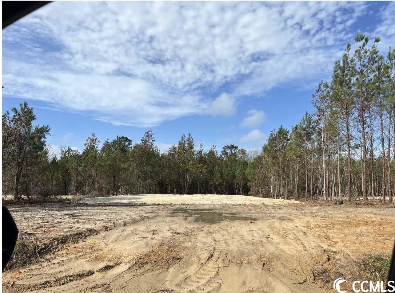 2602 Dogwood Road Longs, SC 29568 - Photo 10 of 15 Gallery Image 10
