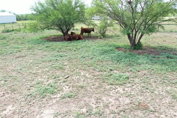 a view of a garden with plants and trees