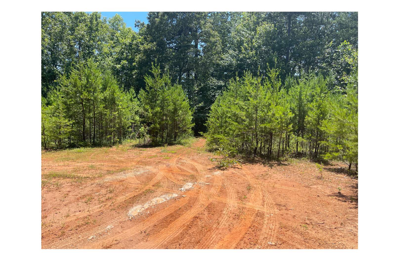 2603 Sunny Point Road Murphy, NC 28906 - Photo 1 of 7 Main View
