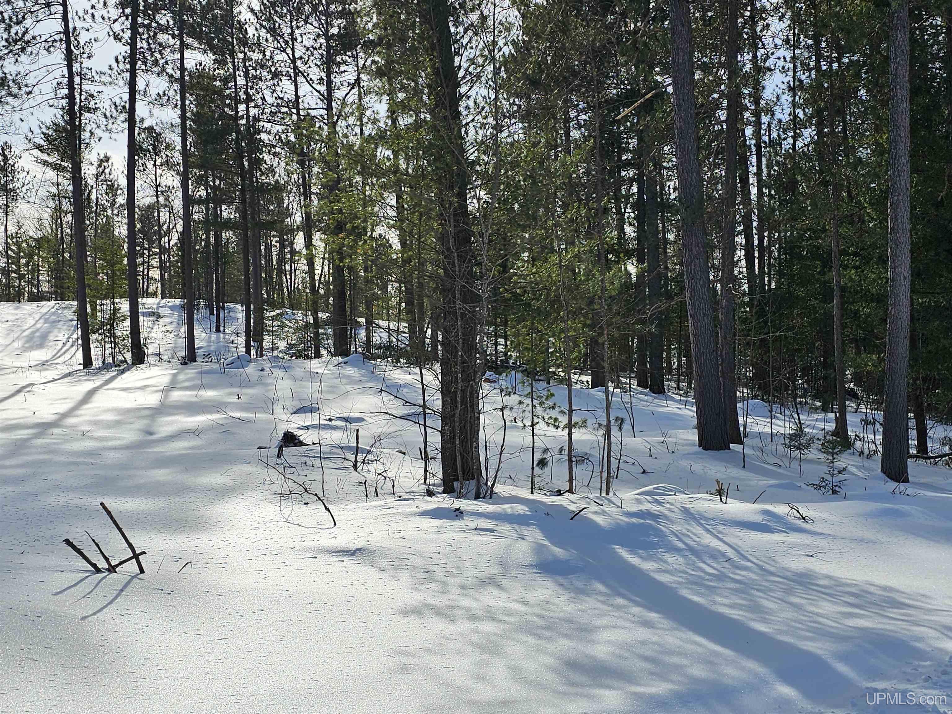 220 Acres Off Co Road Negaunee, MI 49866 - Photo 5 of 9