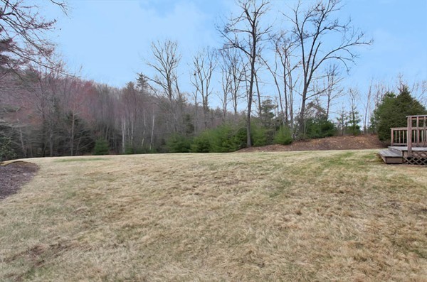 9 Sidney Road Sturbridge, MA 01566 - Photo 25 of 30 a view of backyard space and trees