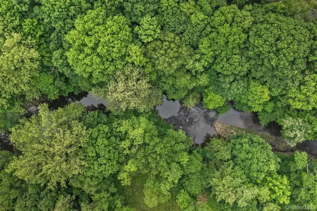 an aerial view of a house with a lush green forest