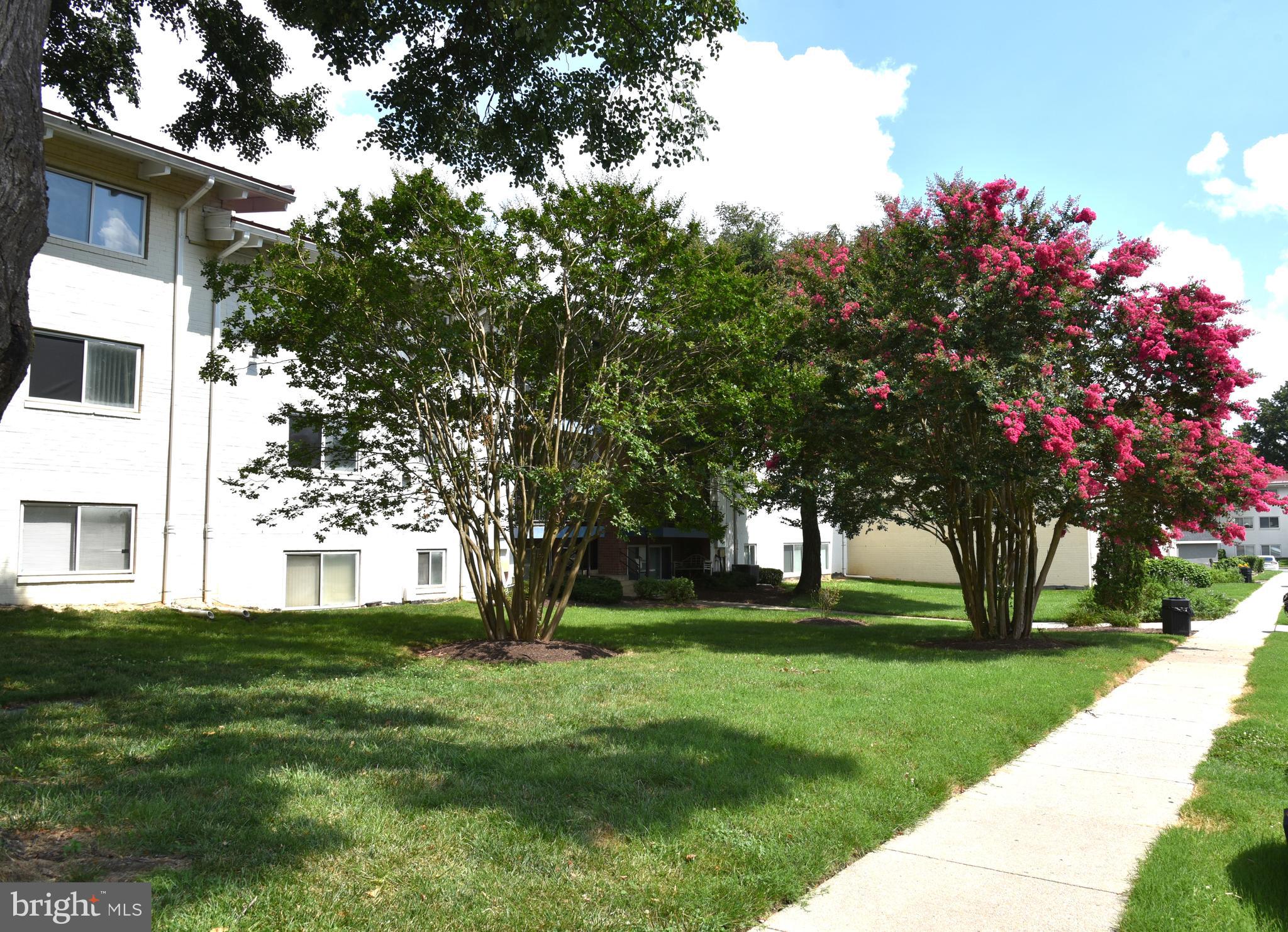 11326 Cherry Hill Road, Unit 2N204 Beltsville, MD 20705 - Photo 14 of 15