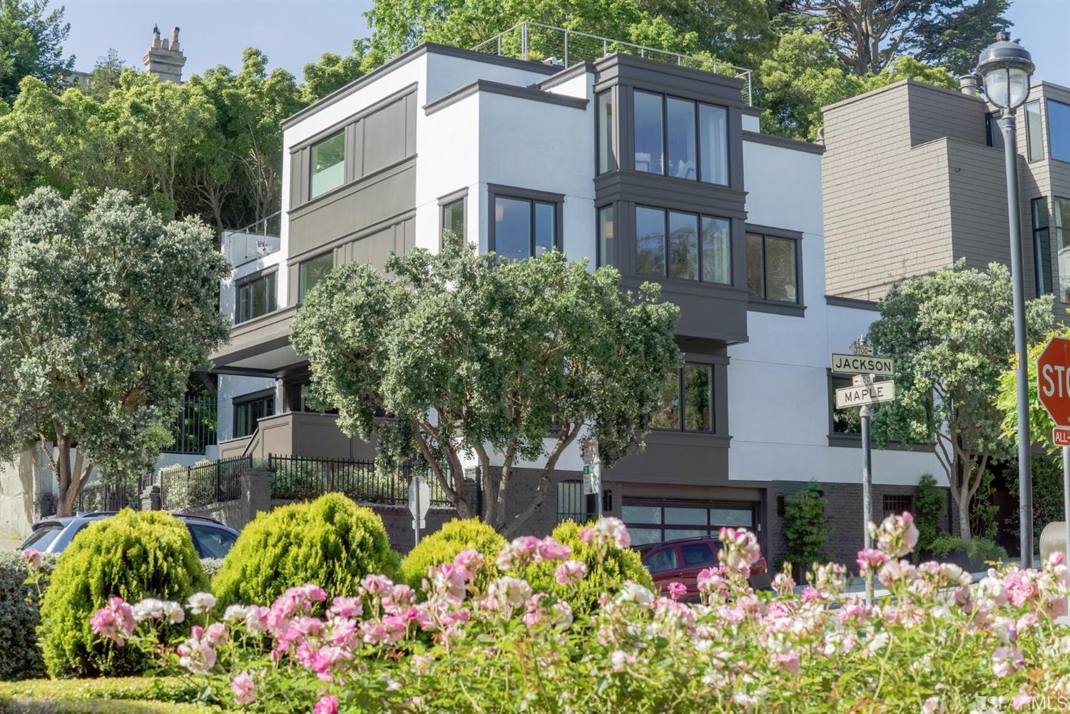 101 Maple Street San Francisco, CA 94118 - Photo 3 of 95