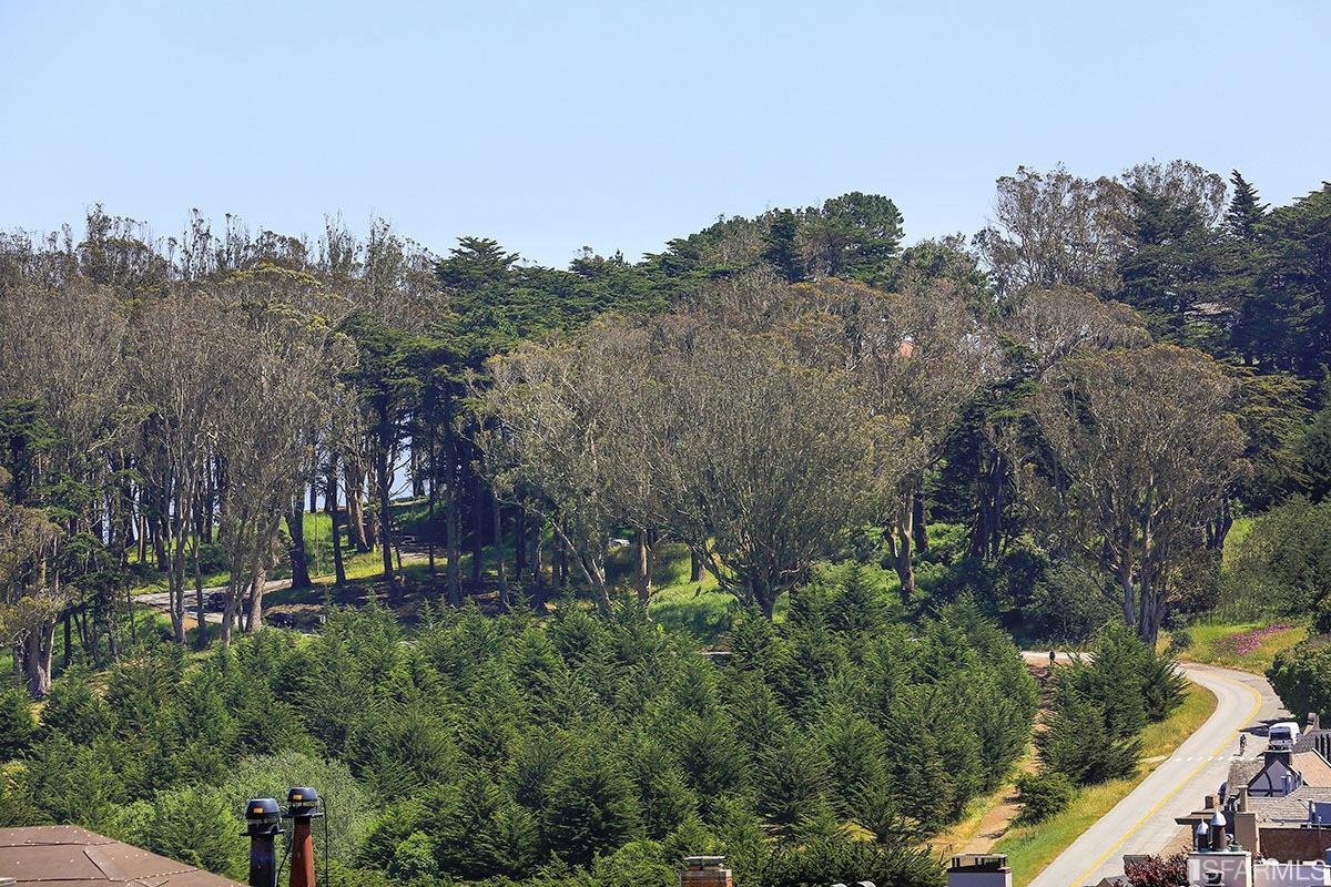 101 Maple Street San Francisco, CA 94118 - Photo 79 of 95