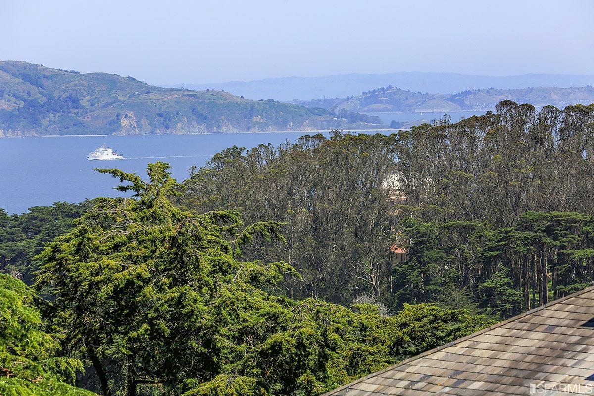 101 Maple Street San Francisco, CA 94118 - Photo 82 of 95